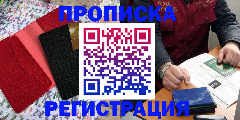 прописка штамп в Звенигово